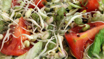 Insalata di germogli