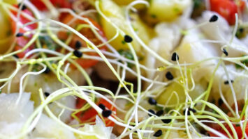 Insalata di germogli e verdure marinate