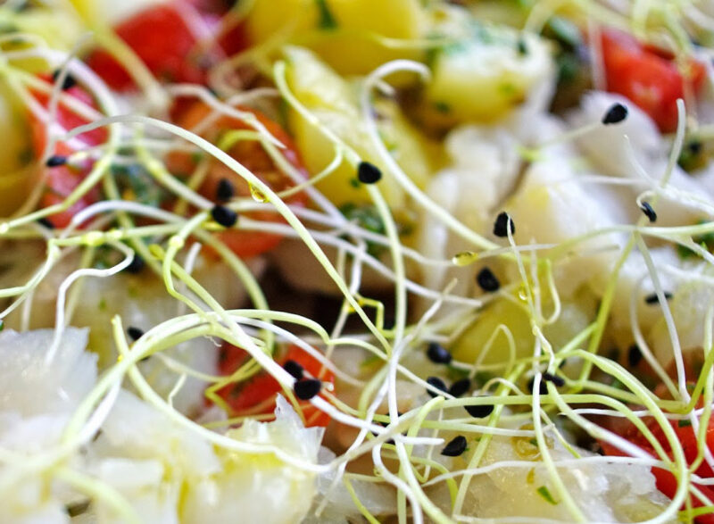 Insalata di germogli e verdure marinate