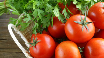 Menù crudista di agosto a base di pomodori