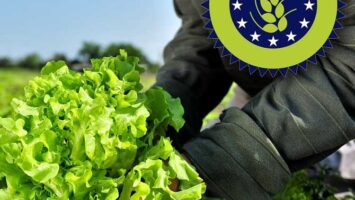 Aziende biologiche certificate in Italia