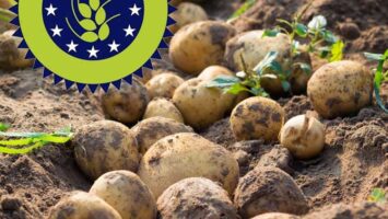 Cos'è il cibo biologico e come si ottiene