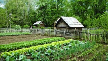 vegetariani nel mondo parlano i numeri