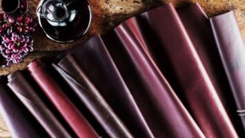 pelle vegan scarti vino